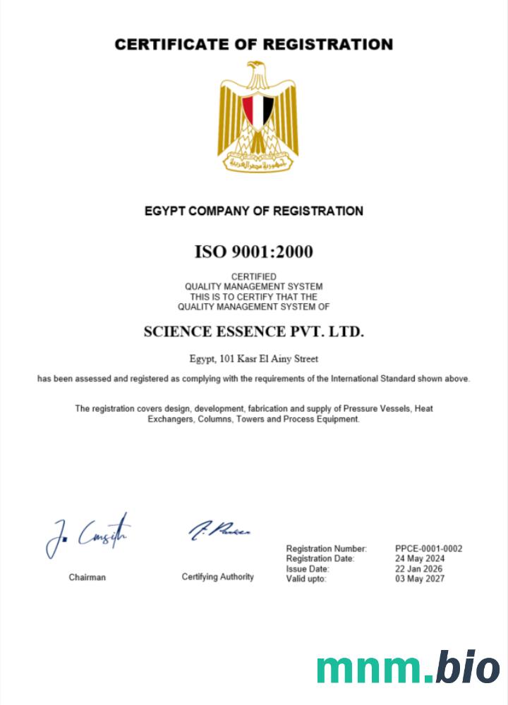 Egipt certyfikat rejestracji Word i PDF szablon